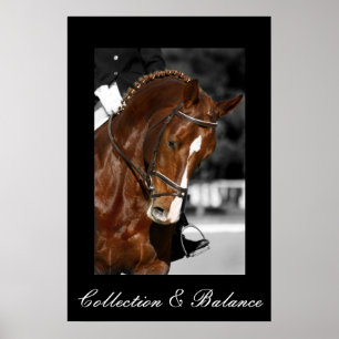 Abholung und Bilanz Poster
