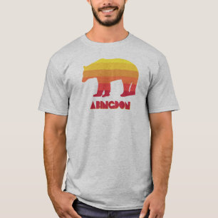 Abingdon Virginia Regenbogenbär T-Shirt