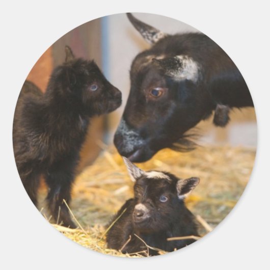 Abkommen Runder Aufkleber (Vorderseite)