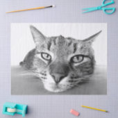 Abkühlen des Papiers Seidenpapier (Basteln)