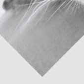 Abkühlen des Papiers Seidenpapier (Detail)