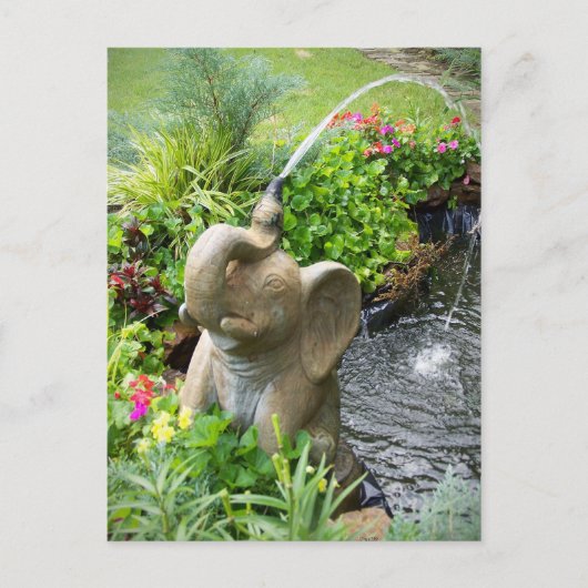 Abkühlung der Postkarte (Vorderseite)