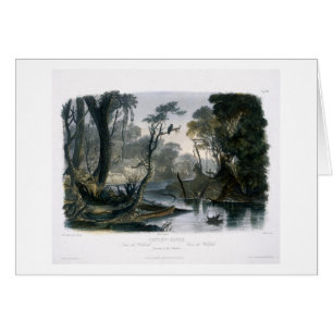 Abkürzungs-Fluss, Niederlassung des Wabash,