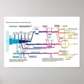 Ablaufdiagramm des amerikanischen Strafjustizsyste Poster (Vorne)