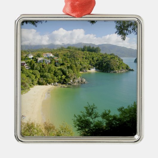 Able Tasman NP, Nelson, Neuseeland. Die vielen Silbernes Ornament (Vorne)