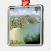 Able Tasman NP, Nelson, Neuseeland. Die vielen Silbernes Ornament (Links)