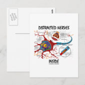 Ablenkte Nerven im Inneren (Synapse) Postkarte (Vorne/Hinten)