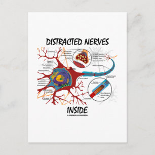 Ablenkte Nerven im Inneren (Synapse) Postkarte