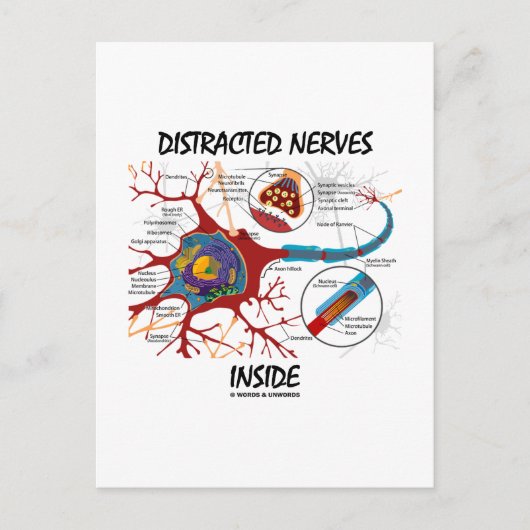Ablenkte Nerven im Inneren (Synapse) Postkarte (Vorderseite)