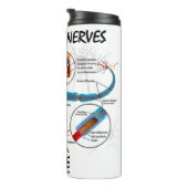 Ablenkter Nerven innerhalb des Neuron Synapse-Spaß Thermosbecher (Nach rechts gedreht)