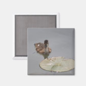 Ablenzmagnet Magnet (Vorderseite/Rückseite)