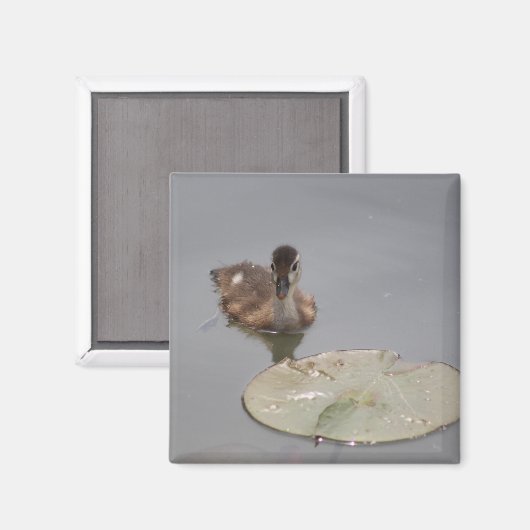 Ablenzmagnet Magnet (Vorderseite/Rückseite)