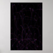Abmessung Poster (Vorne)