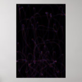 Abmessung Poster (Vorne)