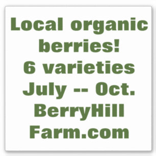 Abnehmbares weißes Vinyl, Werbeaktion Aufkleber