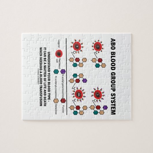 ABO Blutgruppe-System verstehen Blutgruppe Puzzle (Horizontal)