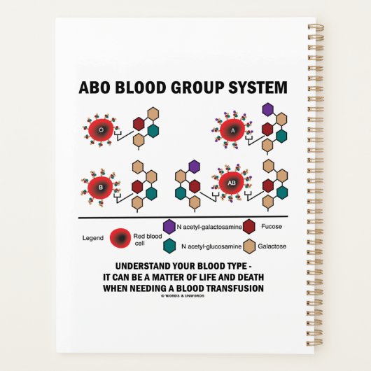 ABO Blutgruppe System versteht Bluttyp Planer (Rückseite)