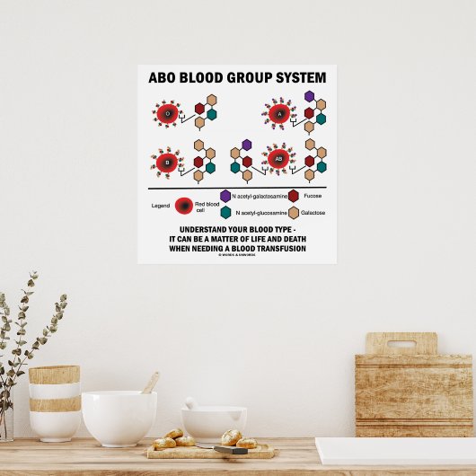 ABO Blutgruppe System versteht Bluttyp Poster (Küche)