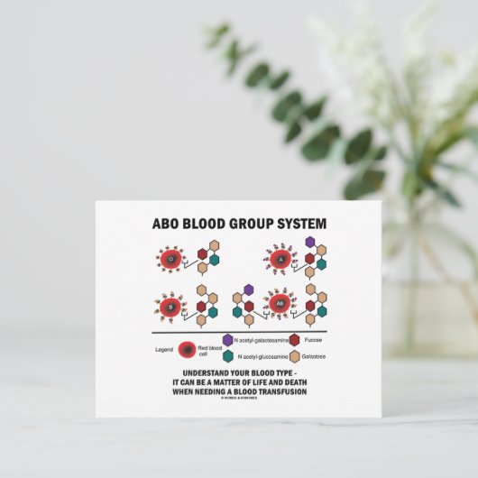 ABO Blutgruppe System versteht Bluttyp Postkarte (Stehend Vorderseite)