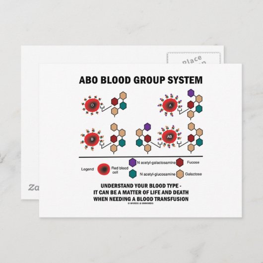 ABO Blutgruppe System versteht Bluttyp Postkarte (Vorne/Hinten)