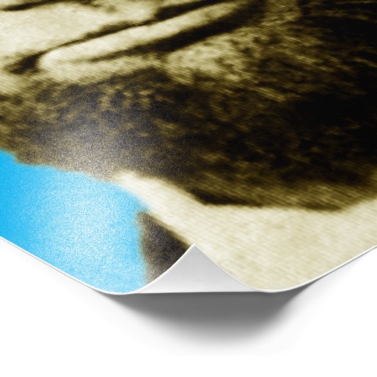 Abraham Lincoln 3 Plus Fotodruck (Ecke)