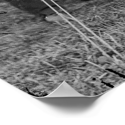 Abraham Lincoln Allan Pinkerton John A. McClernand Poster (Ecke)