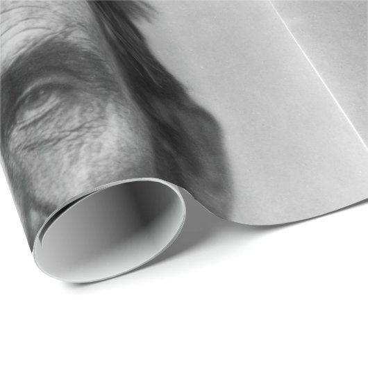 Abraham Lincoln Geschenkpapier (Rolleneckpunkt)