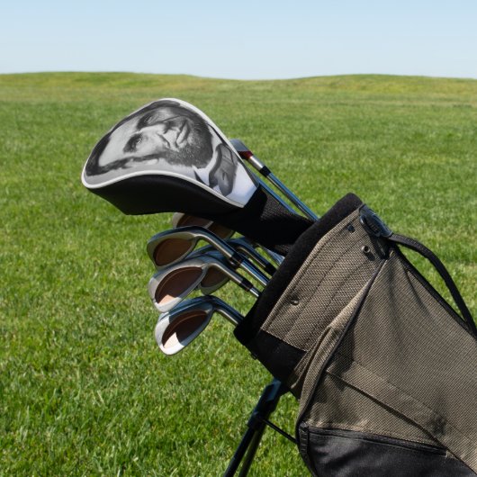 Abraham Lincoln Golf Headcover (In SItu)