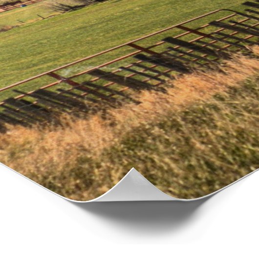 Abrams, Colorado Poster (Ecke)