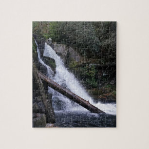 Abrams Falls Puzzle