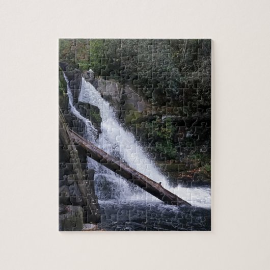Abrams Falls Puzzle (Vertikal)