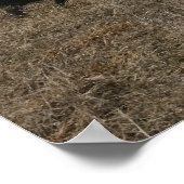 Abrams M1-A1 Poster (Ecke)