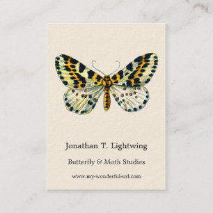 Abraxas grossulariata, Die Magpie Moth Color Image Visitenkarte