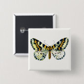 Abraxas grossulariata The Magpie Moth Color Image Button (Vorne & Hinten)