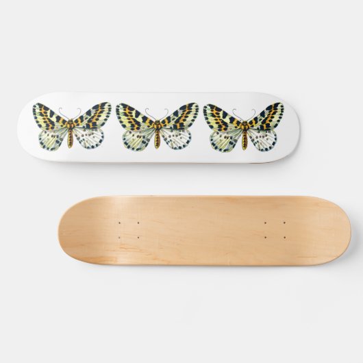 Abraxas grossulariata The Magpie Moth Color Image Skateboard (Horizontal)