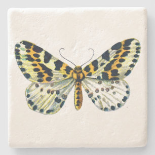 Abraxas grossulariata The Magpie Moth Color Image Steinuntersetzer