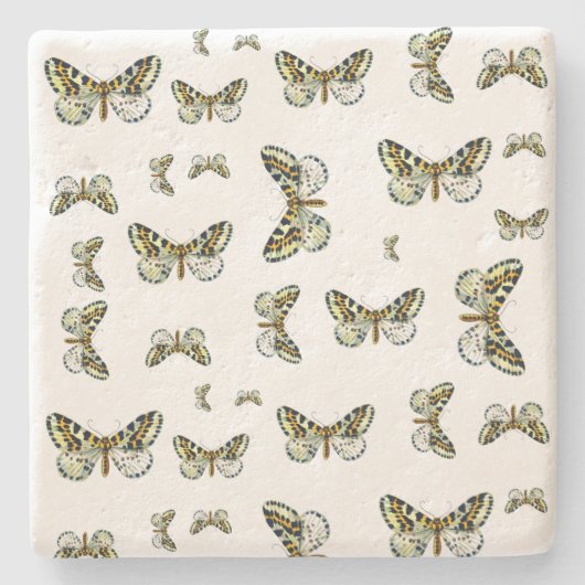 Abraxas grossulariata The Magpie Moth Color Image Steinuntersetzer (Vorderseite)