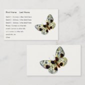 Abraxas sylvata - Die bedeckte Magpie-Moth Visitenkarte (Vorne/Hinten)