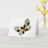 Abraxas sylvata - The Clouded Magpie Moth Karte (Gelbe Blume)