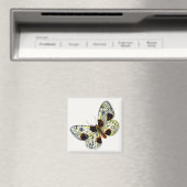 Abraxas sylvata - The Clouded Magpie Moth Magnet (In Situ (Geschirrspüler))