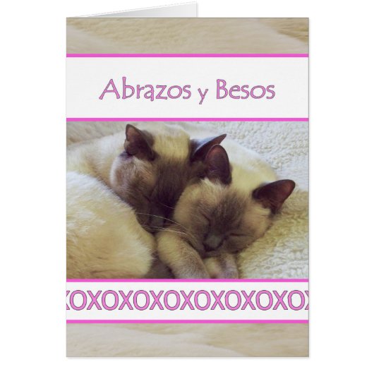 Abrazos y Besos, Hugs und Kisses auf Spanisch (Vorne)