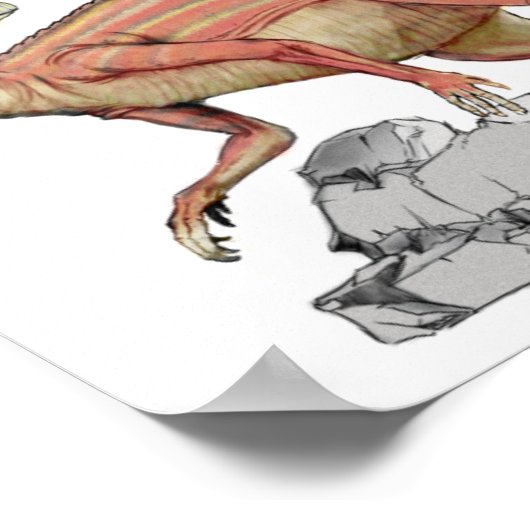 Abrictosaurus - Jurassic Dinosaur Portfolio Poster (Ecke)