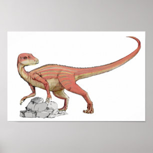 Abrictosaurus - Jurassic Dinosaur Portfolio Poster