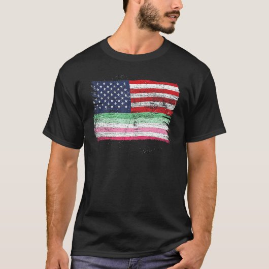Abrosexual Us Flag Gay Pride Monat Que Lgbtq Abr T-Shirt (Vorderseite)