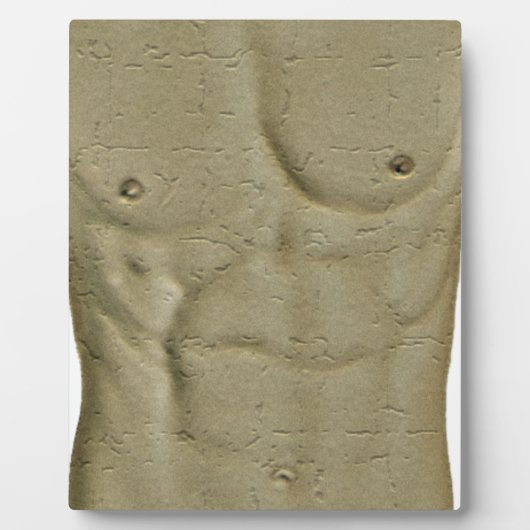 Abs Fotoplatte (Vorderseite)