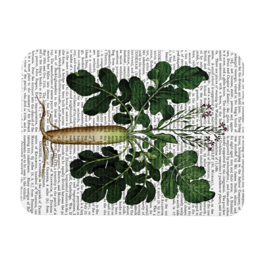 Absatz 3 magnet (Horizontal)