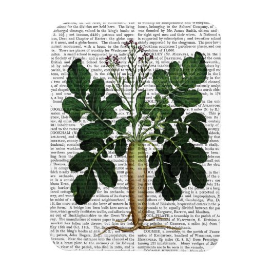 Absatz 3 magnet (Vertikal)