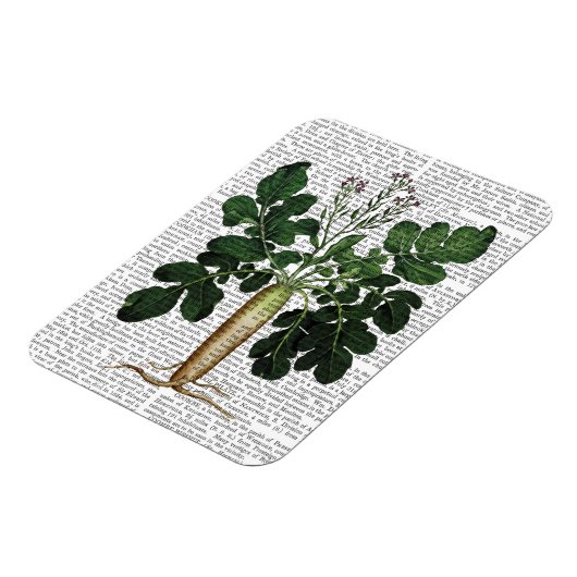 Absatz 3 magnet (Linke Seite)