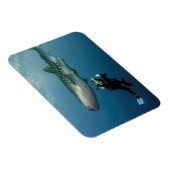 Absaugen für Abdeckung? Magnet (Rechte Seite)