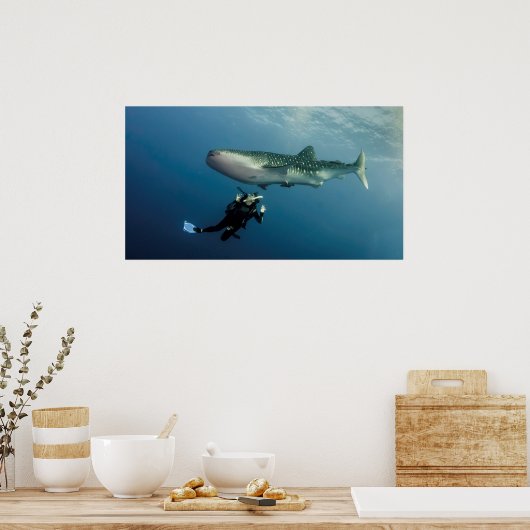 Absaugen für Abdeckung? Poster (Küche)